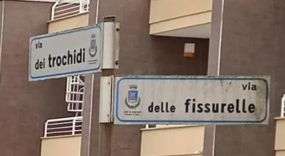 Alloggio Turistico Focene 0*,  Italia